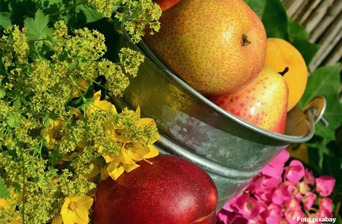 Coronavírus poderá ter impacto devastador na comercialização de frutas e flores no país