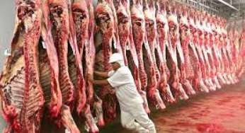 China deve normalizar importação de carne só no 3º tri