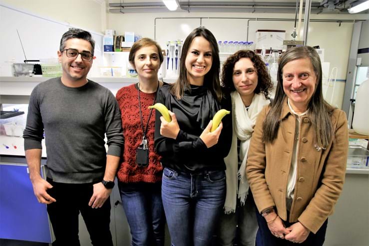 Aveiro descobre que as cascas de banana limpam águas com metais pesados