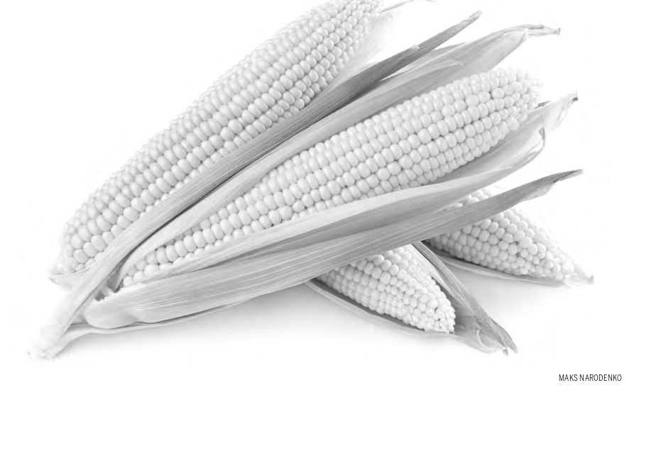 Sem estoque de trigo, milho e arroz, Brasil pode ter desabastecimento