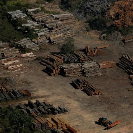 Brasil exportou milhares de carregamentos não autorizados de madeira de porto na Amazônia