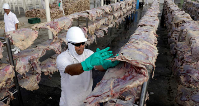 Indústria de carnes do Brasil precisará de mais milho importado a partir de maio