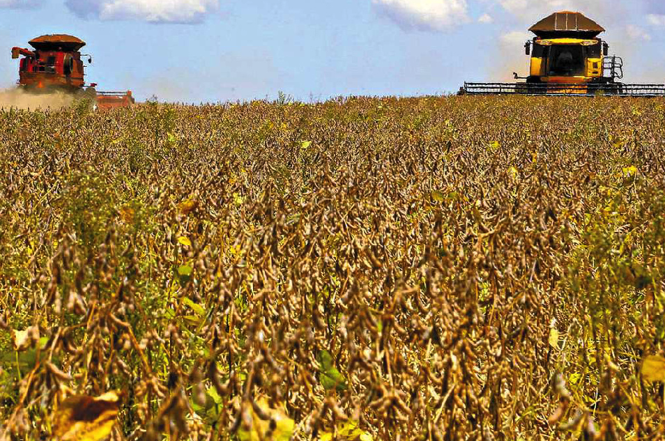 Exportações do agro estão aumentando
