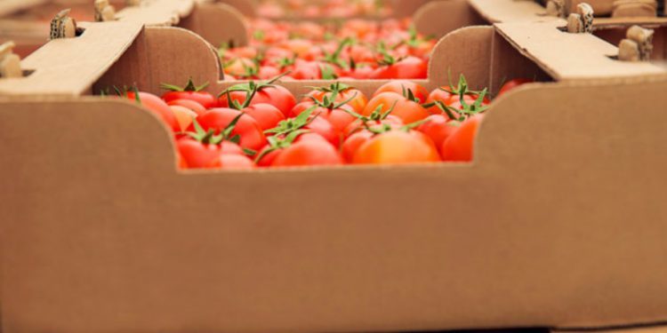 Mapa define critérios para ARP em importação de vegetais