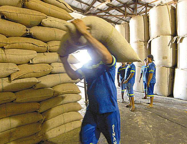 Santos embarca 82% do café exportado