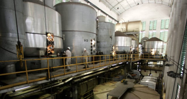 Maior trading de açúcar vê produção brasileira perto de recorde