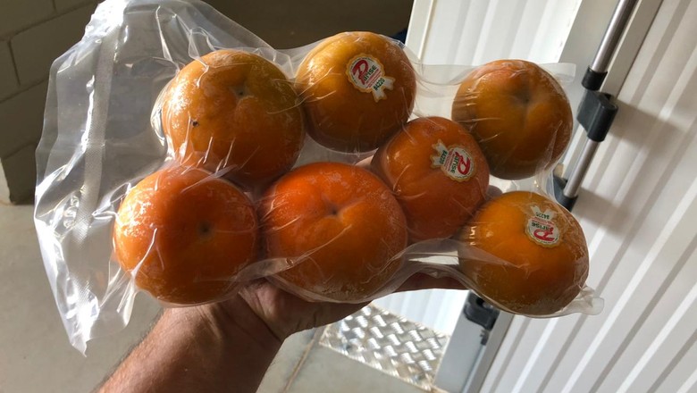 Pandemia do coronavírus trava o envio de frutas frescas para o Canadá