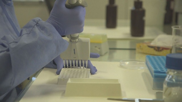 Baixada Santista monitora 160 casos confirmados do novo coronavírus e nove pessoas já morreram