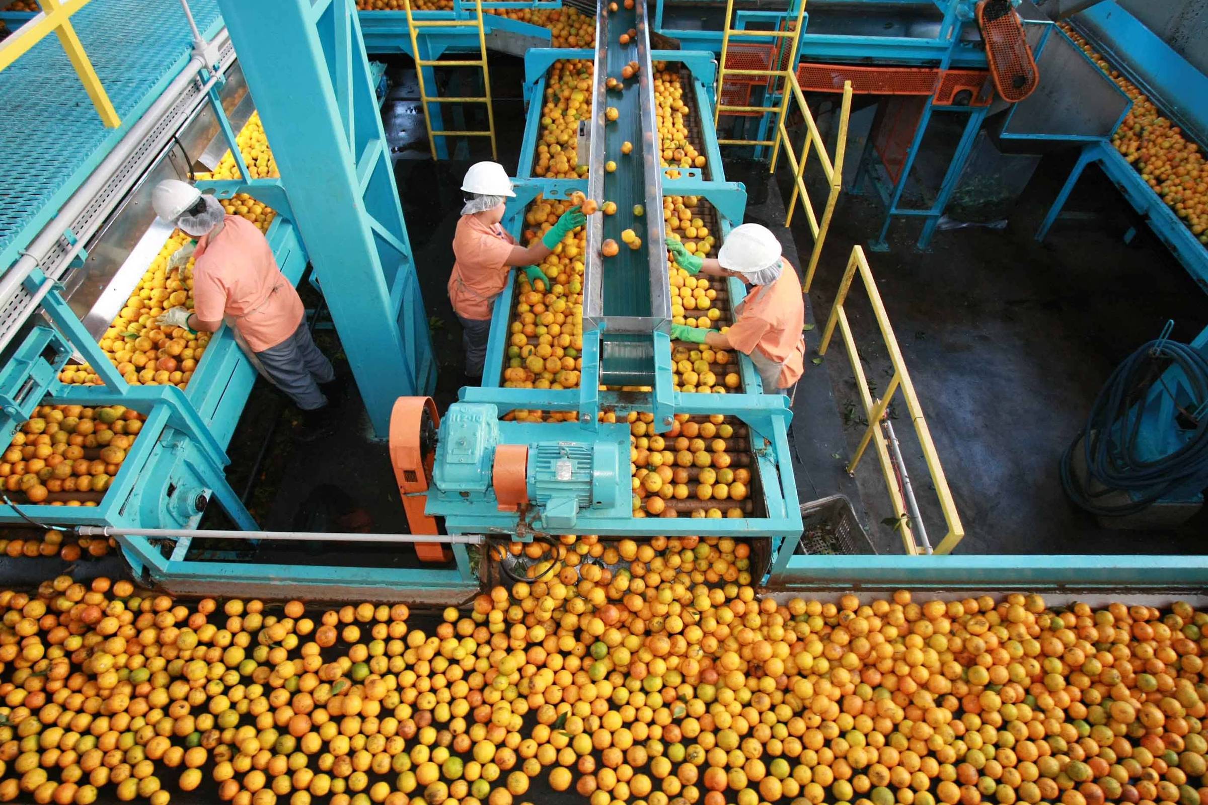 Exportação de suco continua aquecida
