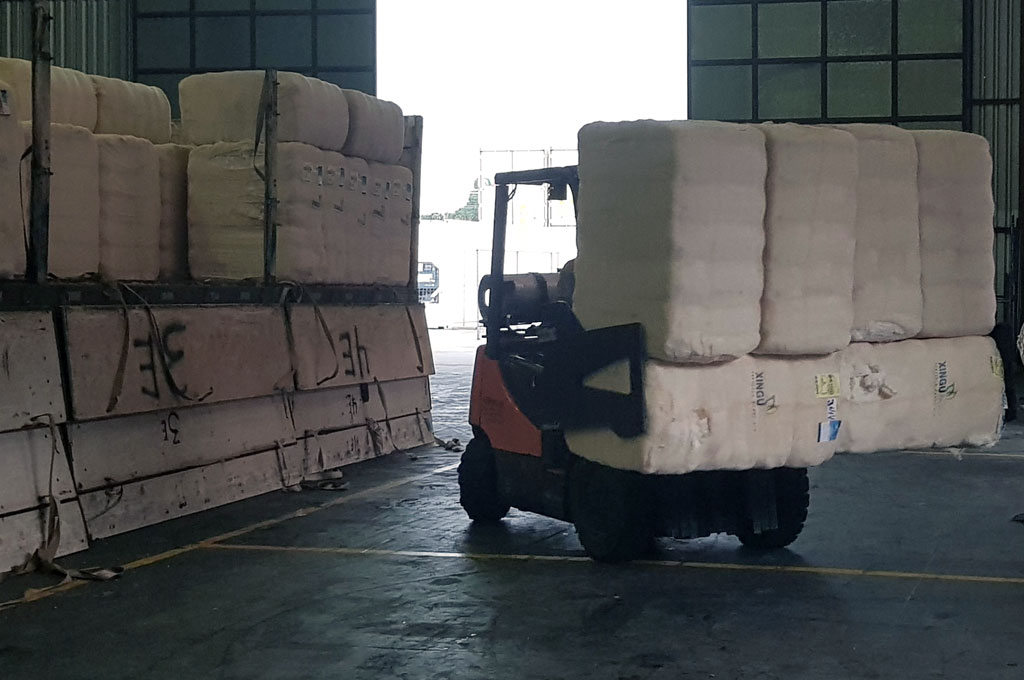 Algodão exporta 70% mais e se destaca na balança comercial