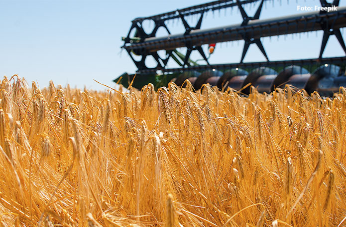 Valor da Produção Agropecuária bate recorde de 31 anos e alcança a cifra de R$ 697 bilhões