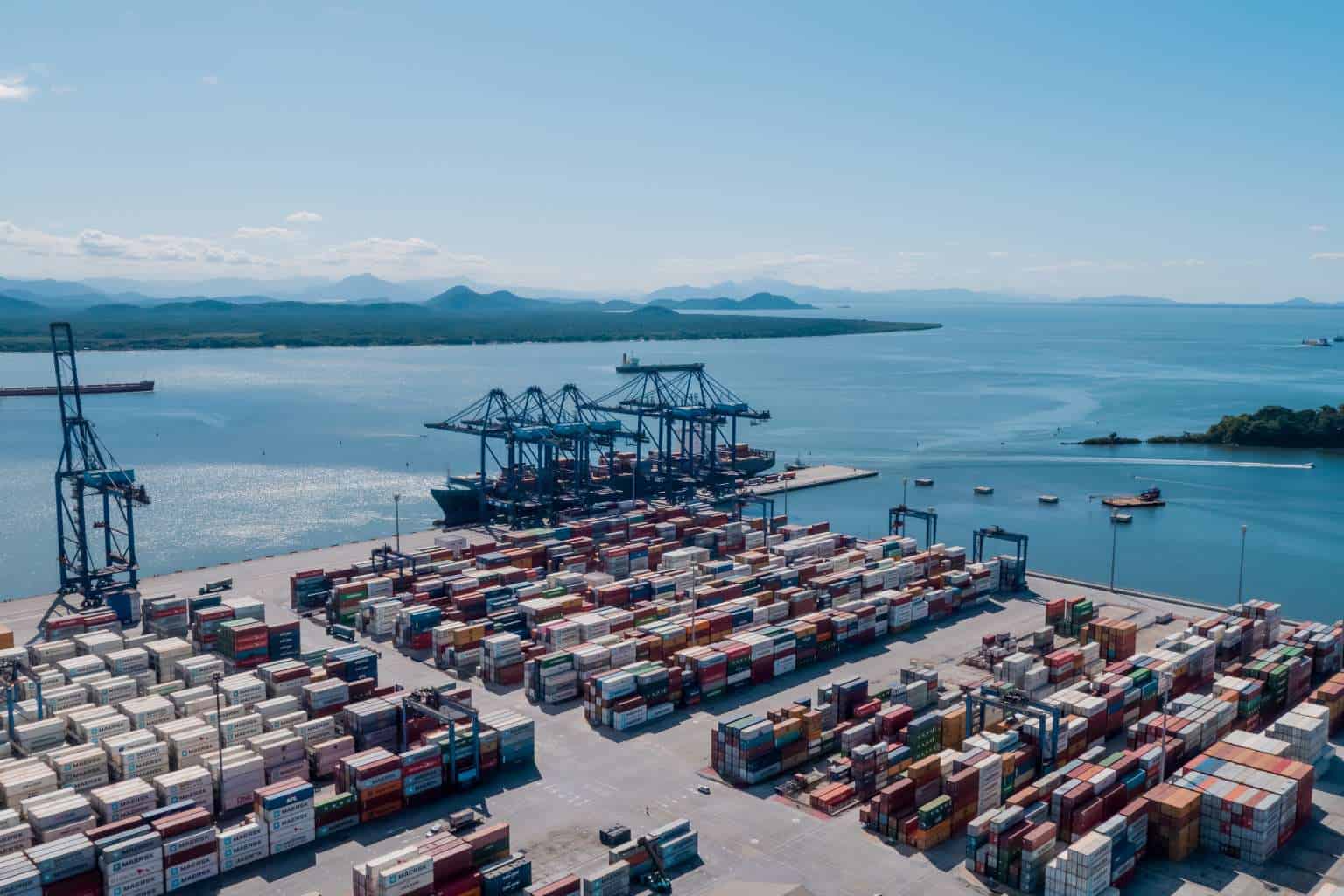 TCP Prevê Crescimento Na Exportação Do Setor Florestal