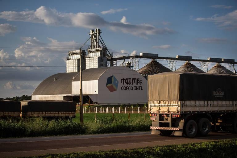 Em alta recorde, Ásia compra quase metade dos produtos brasileiros
