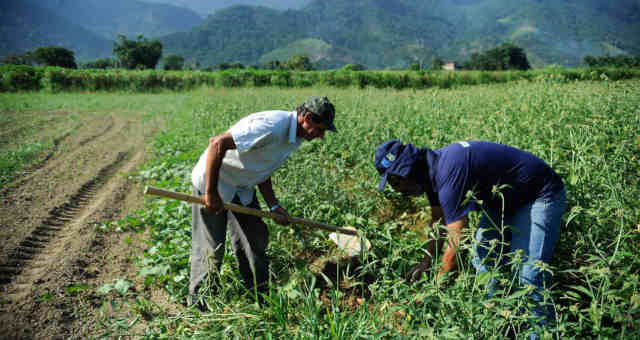 Esalq fará testes para covid em trabalhadores do agro e convoca ajuda de empresas