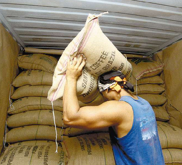 Exportação de café sobe 3,3% em 1 ano