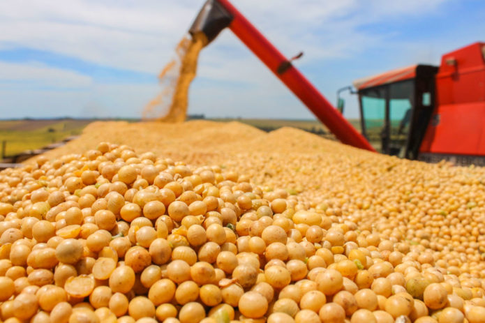 Vendas de carne e soja para a China ajudam o agro a bater recorde e exportar US$ 10 bilhões em abril