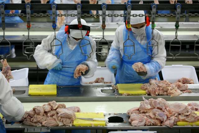 Exportação brasileira de frango cresceu 5,1% 