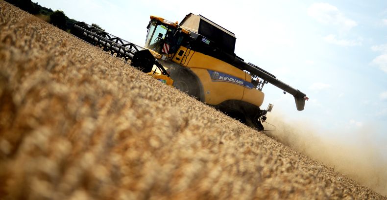 Egito terá US$ 100 milhões para importar alimentos