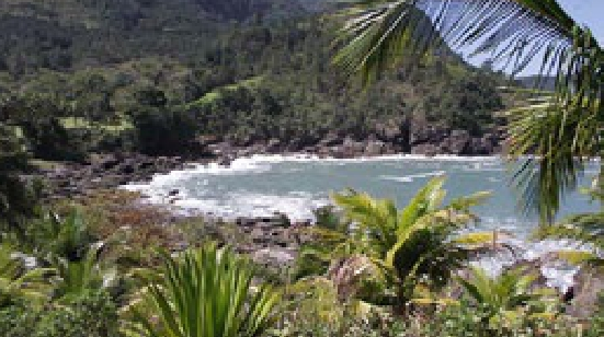 Prefeitos do Litoral Norte exigem bloqueio