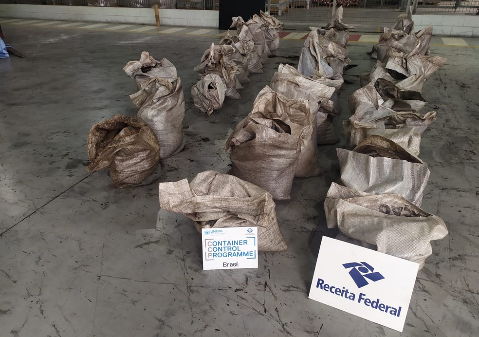 Mais de meia tonelada de cocaína é localizada em carga no Porto de Santos, SP