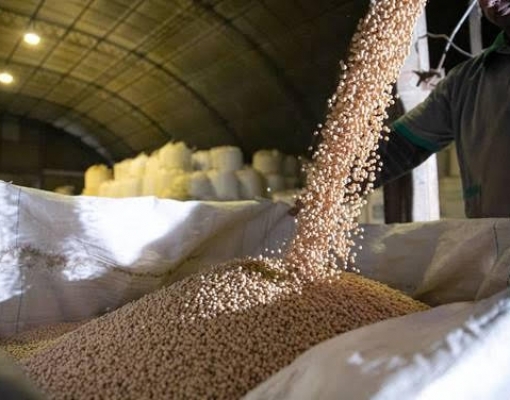 Desempenho do agronegócio na pandemia sustenta exportações brasileiras