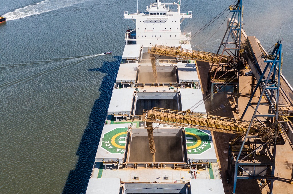 Exportação de soja alavanca complexo de São Francisco do Sul