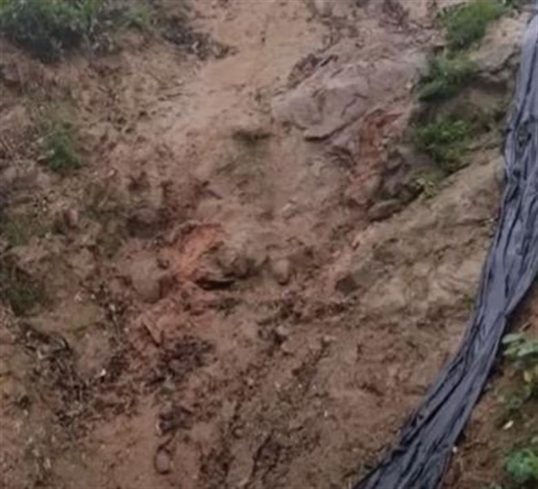 Chuva causa deslizamento e outros problemas em Santos; confira outras cidades