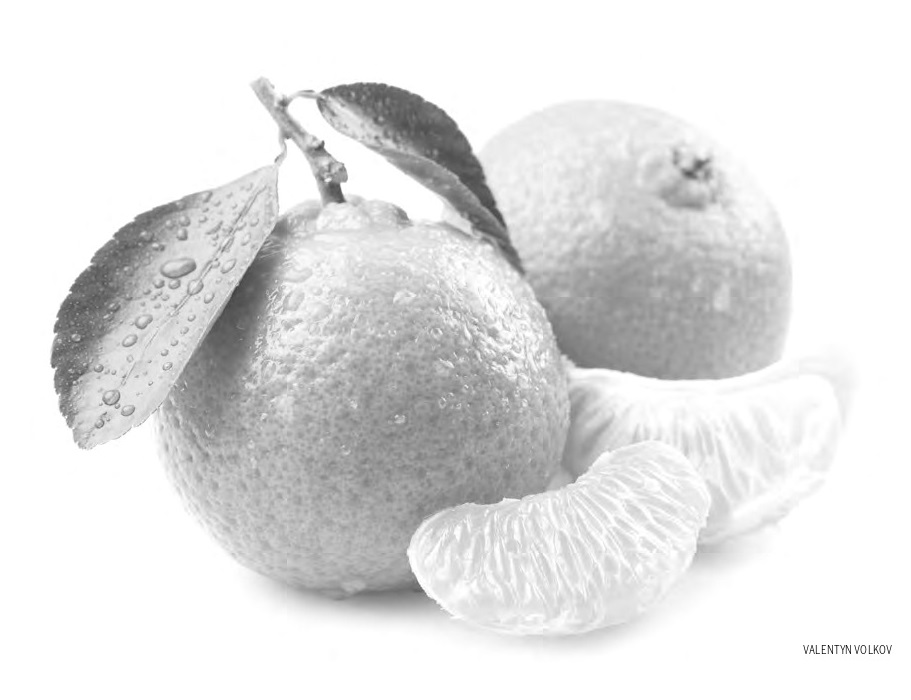 No auge da safra, tangerinas e laranjas estão mais baratas em junho