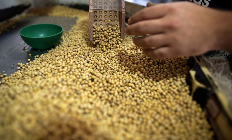 Importação de soja do Brasil pela China tem máxima de 2 anos em maio