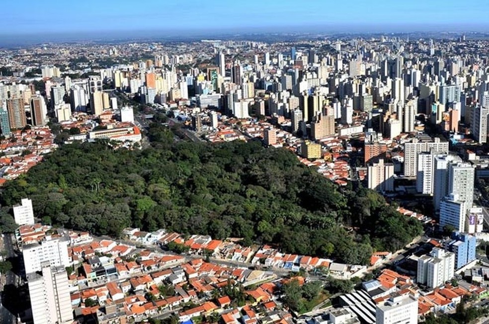Campinas lidera número de mortes
