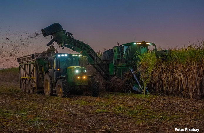 Safra promissora e queda na venda de etanol levam o Brasil a ampliar produção e exportação de açúcar