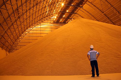 Agronegócio cresce na pandemia e fica mais atrativo