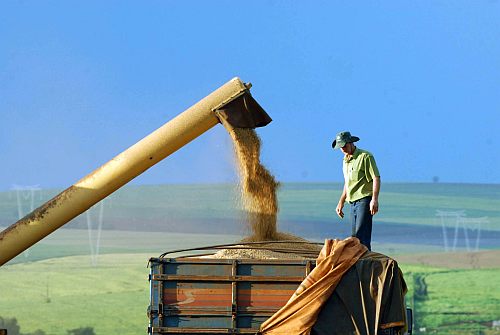 Agropecuária exportou 51% mais em maio