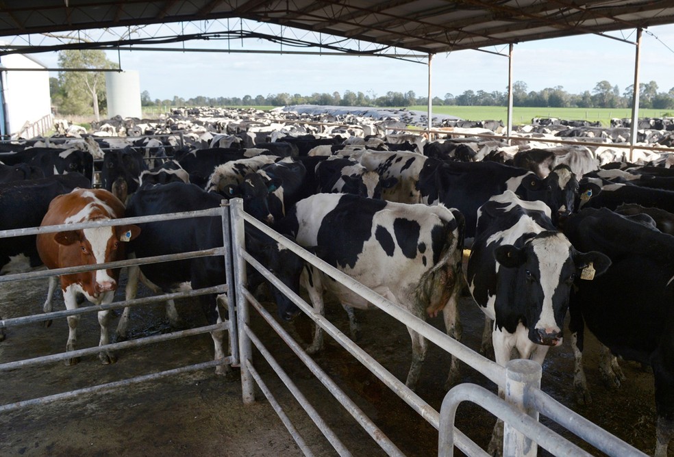 Pandemia motiva onda mundial de subsídios agrícolas