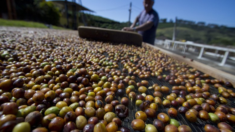 Preços do café voltam a subir no mercado interno