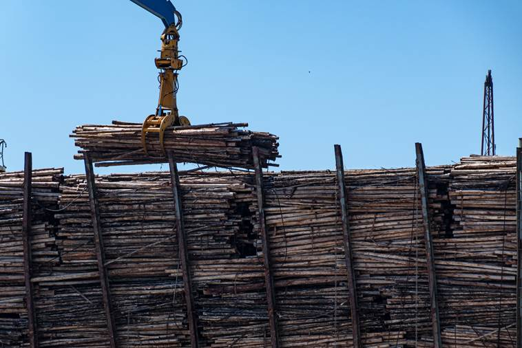 Inovação logística no Porto de Aveiro na movimentação de produtos florestais