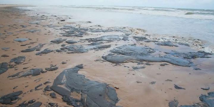 Óleo volta a aparecer em estados do Nordeste