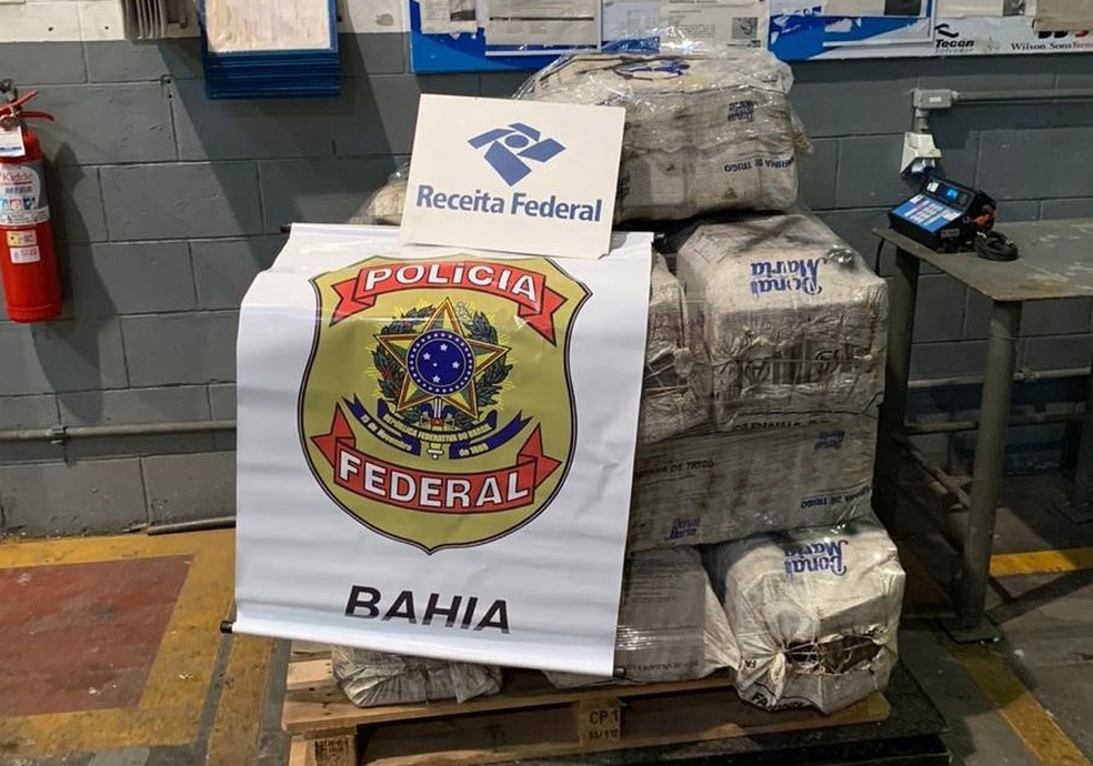 Mais de 600 Kg de cocaína são apreendidos em carga no porto de Salvador