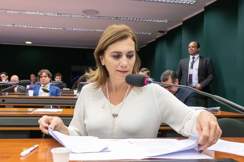 Rosana Valle pede que avulsos do porto sejam desobrigados a pagar empréstimos durante pandemia