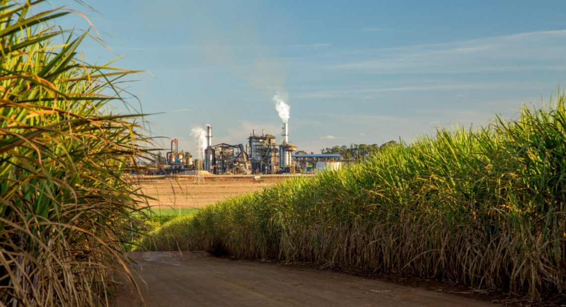 Brasil amplia produção e exportação de açúcar