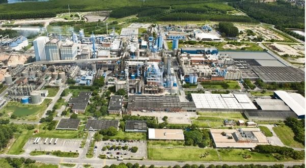 Suzano vai antecipar pagamentos a empresas e bancar salários de terceirizados
