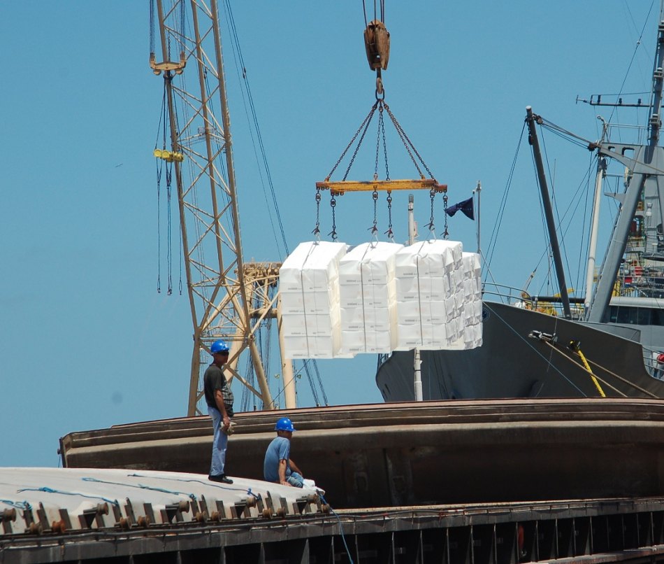 Mercado de celulose: Outlook FIESP 2029 estima crescimento de 30% na oferta e 22% na demanda doméstica em uma década