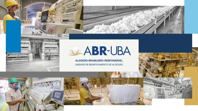 Abrapa lança Programa Algodão Brasileiro Responsável para as UBA