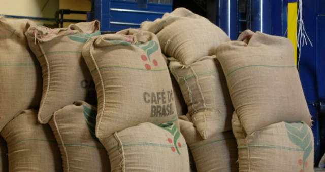 Exportação de café do Brasil avança no acumulado de julho; soja mantém força