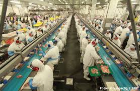 Produção e exportações de carnes de frango e suína deverão crescer em 2020