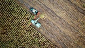 Acordo entre Mercosul e Canadá pode elevar em US$ 7,8 bi exportações do agronegócio do Brasil, diz CNA