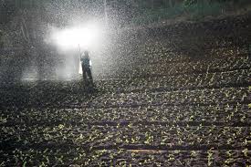 Demanda por fertilizantes no Brasil deve crescer 1,5% em 2020