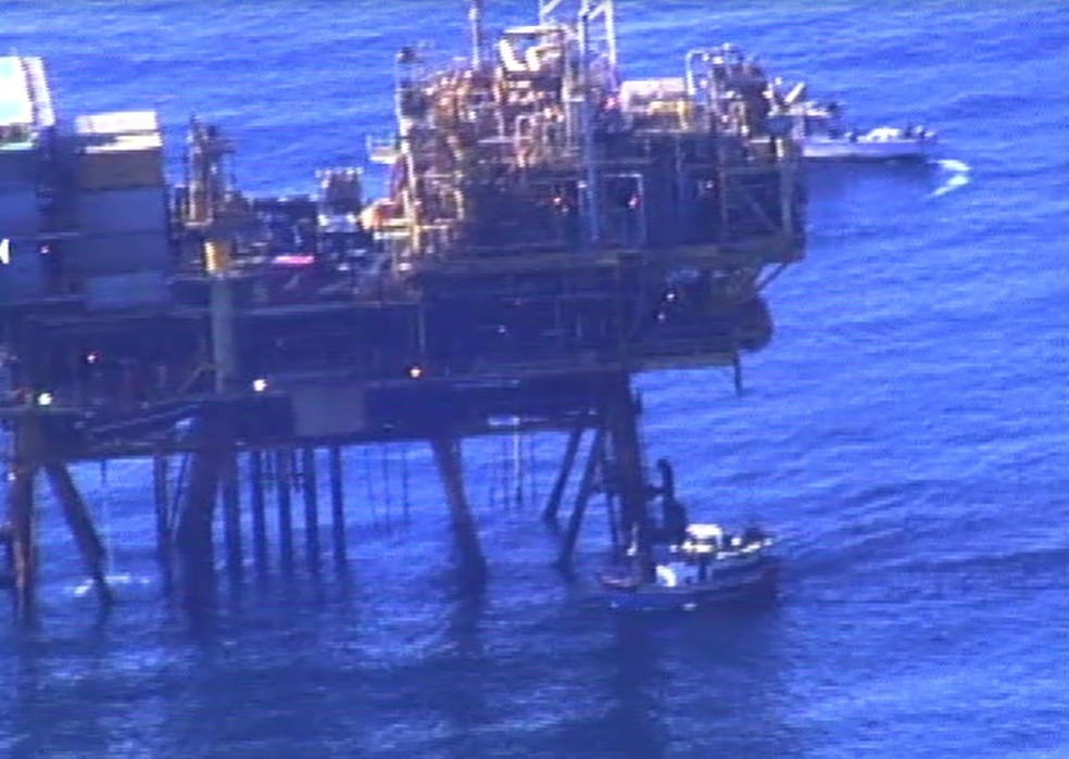 Ibama flagra pesca irregular perto de plataforma de petróleo e apreende 75 t de peixes