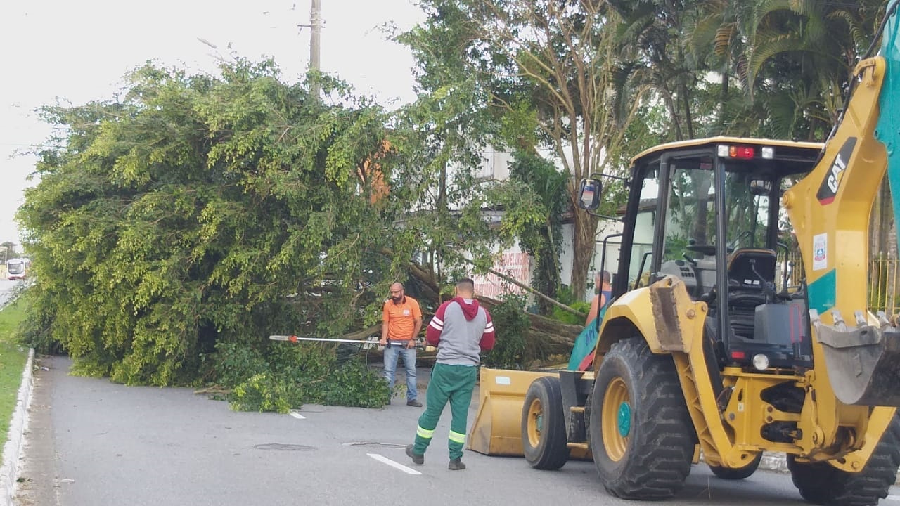 Ciclone bomba chega à Baixada Santista, afunda barcos e provoca muitos prejuízos