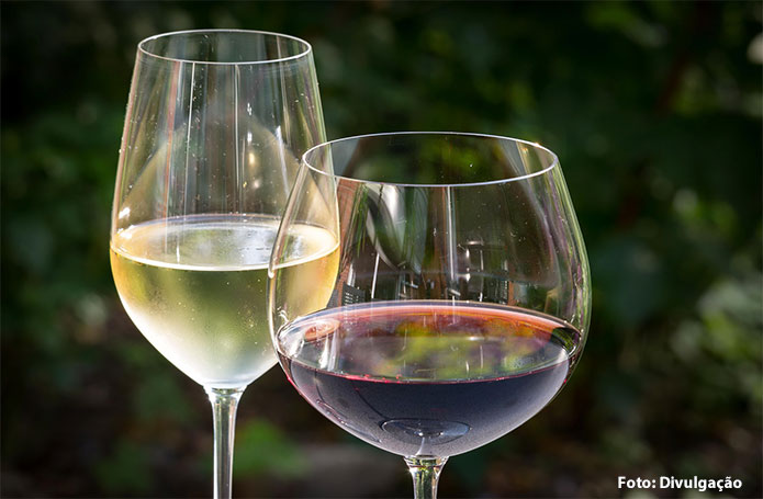 A vez dos vinhos brasileiros: o mundo descobre a qualidade e diversidade do vinho nacional